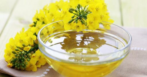 Olio di canola