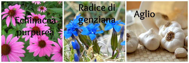 Rimedi naturali candida: aglio