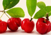 Acerola vitamina C