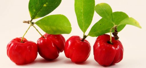 Acerola vitamina C