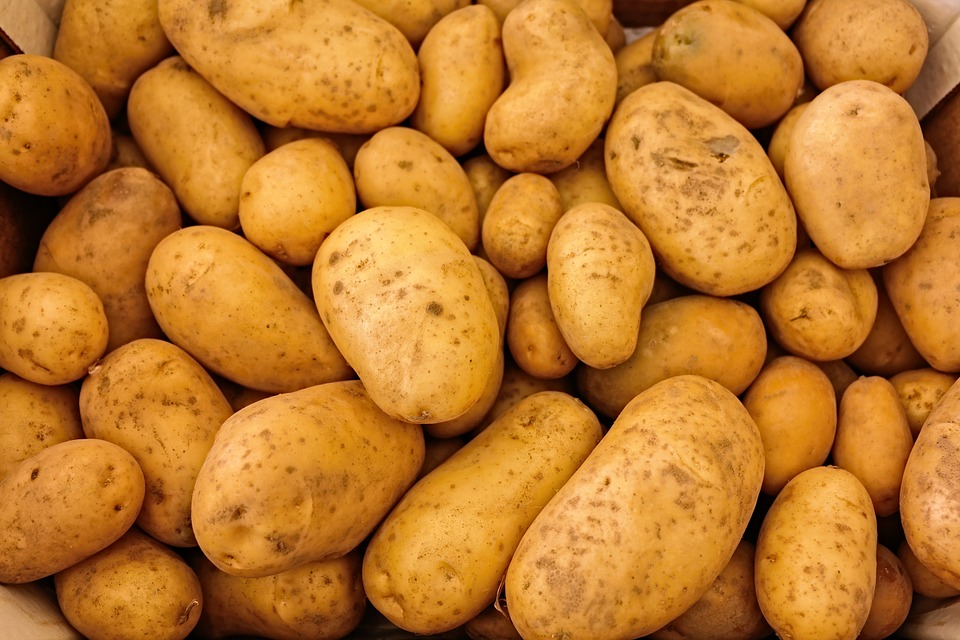 Le Patate Fanno Ingrassare? Quante Calorie Hanno? Scoprilo ...