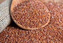 Quinoa rossa proprietà benefici