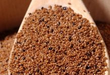 Teff e farina di teff proprietà e benefici