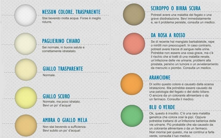 cisti nel test delle feci è normale cisti nel test delle feci è normale