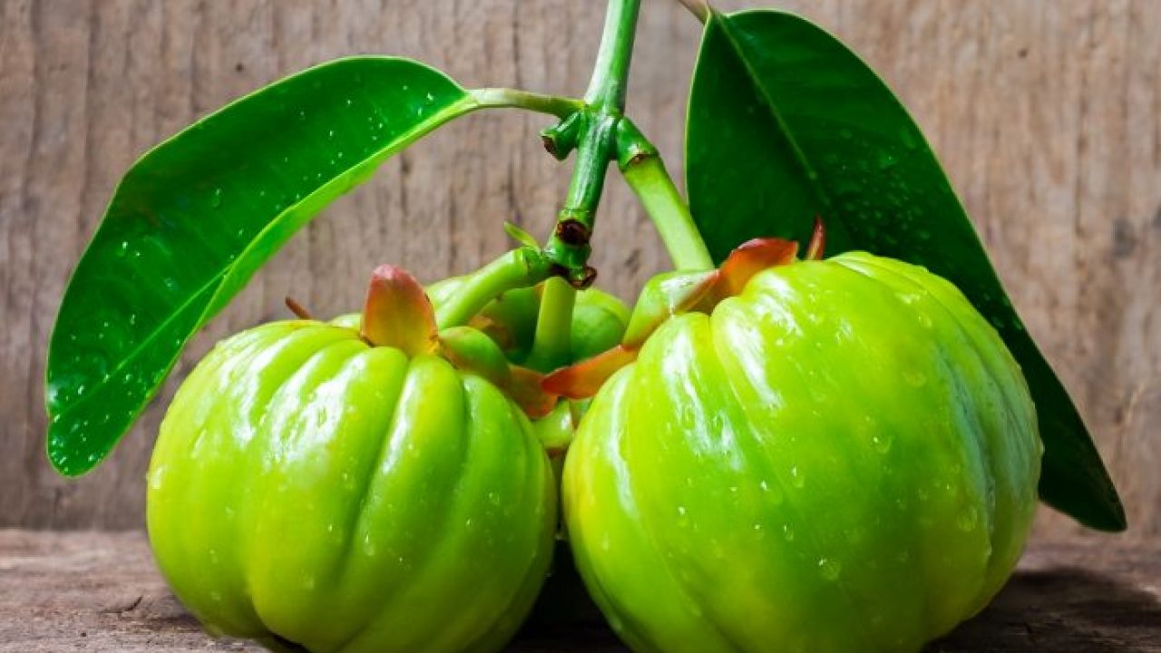 opinioni di perdita di garcinia opinioni di perdita di garcinia