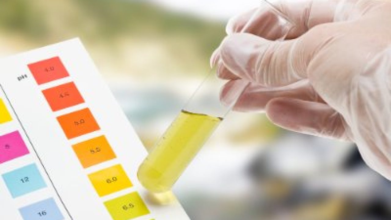 sangue nelle urine dopo aver tenuto la pipì