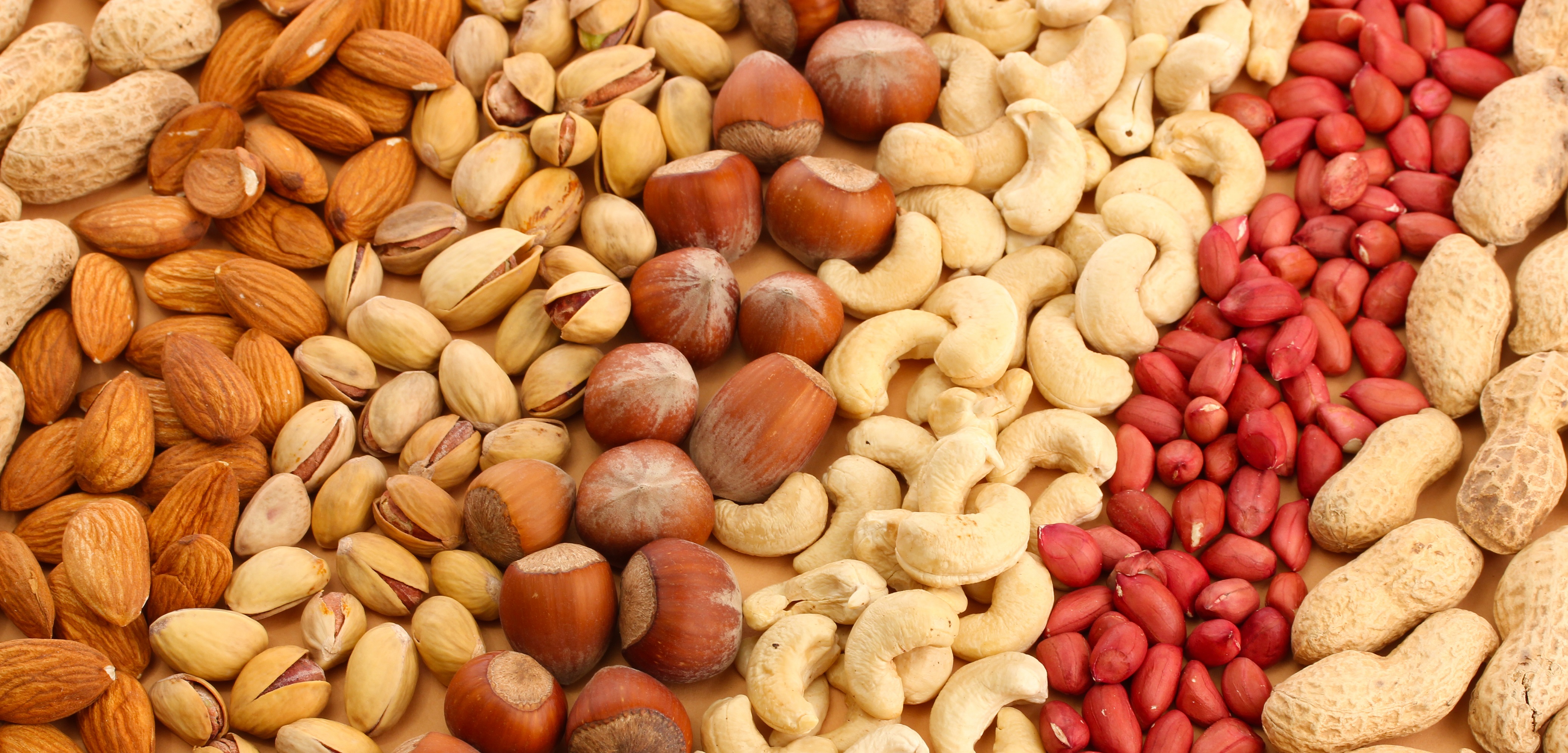 La Frutta Secca Fa Ingrassare Scopri Qui La Risposta 