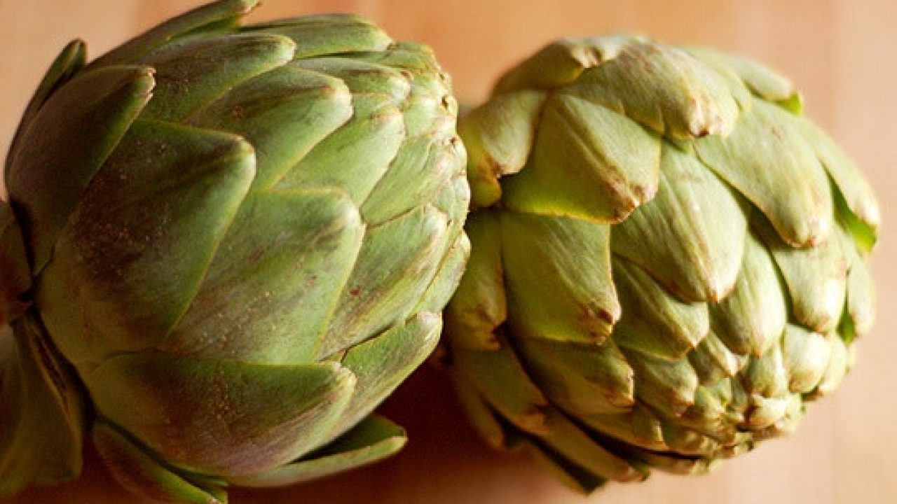 flora microbica mista uomo tisana di carciofo fatta in casa