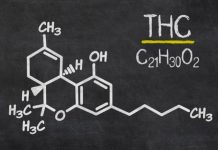 thc nel sangue quanto resta