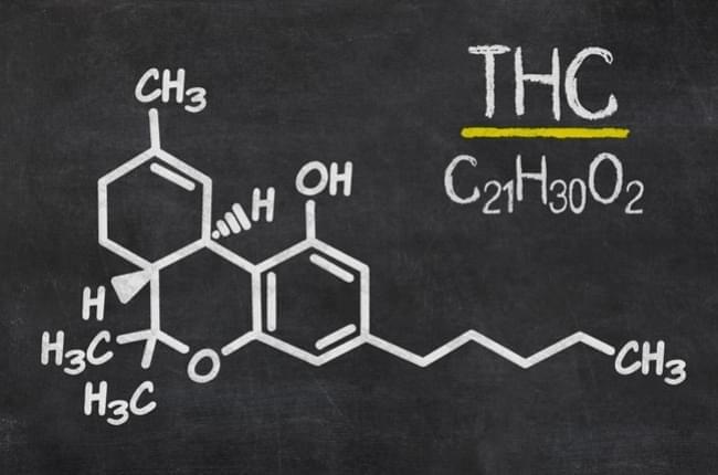 thc nel sangue quanto resta