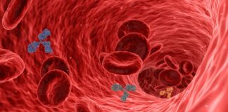 quale correlazione tra lo Zynteglo e la leucemia?