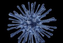 Variante Omicron presto dominante in Italia, l’allarme dell’ISS Variante Omicron presto dominante in Italia, l'allarme dell'ISS