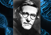agostino gemelli