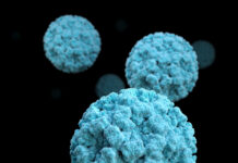 Variante Ihu: cosa si sa della nuova variante SARS-CoV-2 scoperta in Francia Variante Ihu: cosa si sa della nuova variante COVID-19 scoperta in Francia