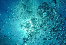 acqua
