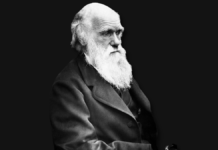 darwin