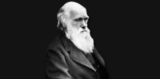 darwin