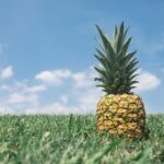 ananas
