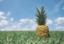 ananas