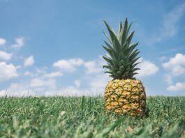ananas