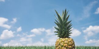 ananas