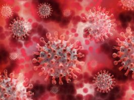 coronavirus