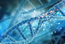 dna