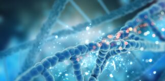 dna