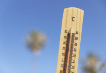 caldo