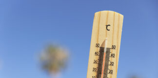 caldo