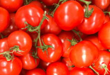 pomodori