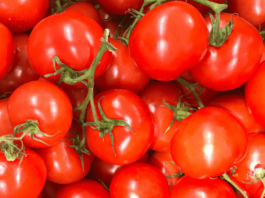 Allergia al Nichel: sintomi e quali alimenti evitare pomodori
