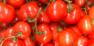 pomodori