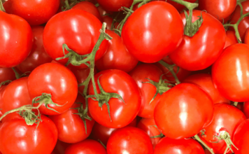 pomodori