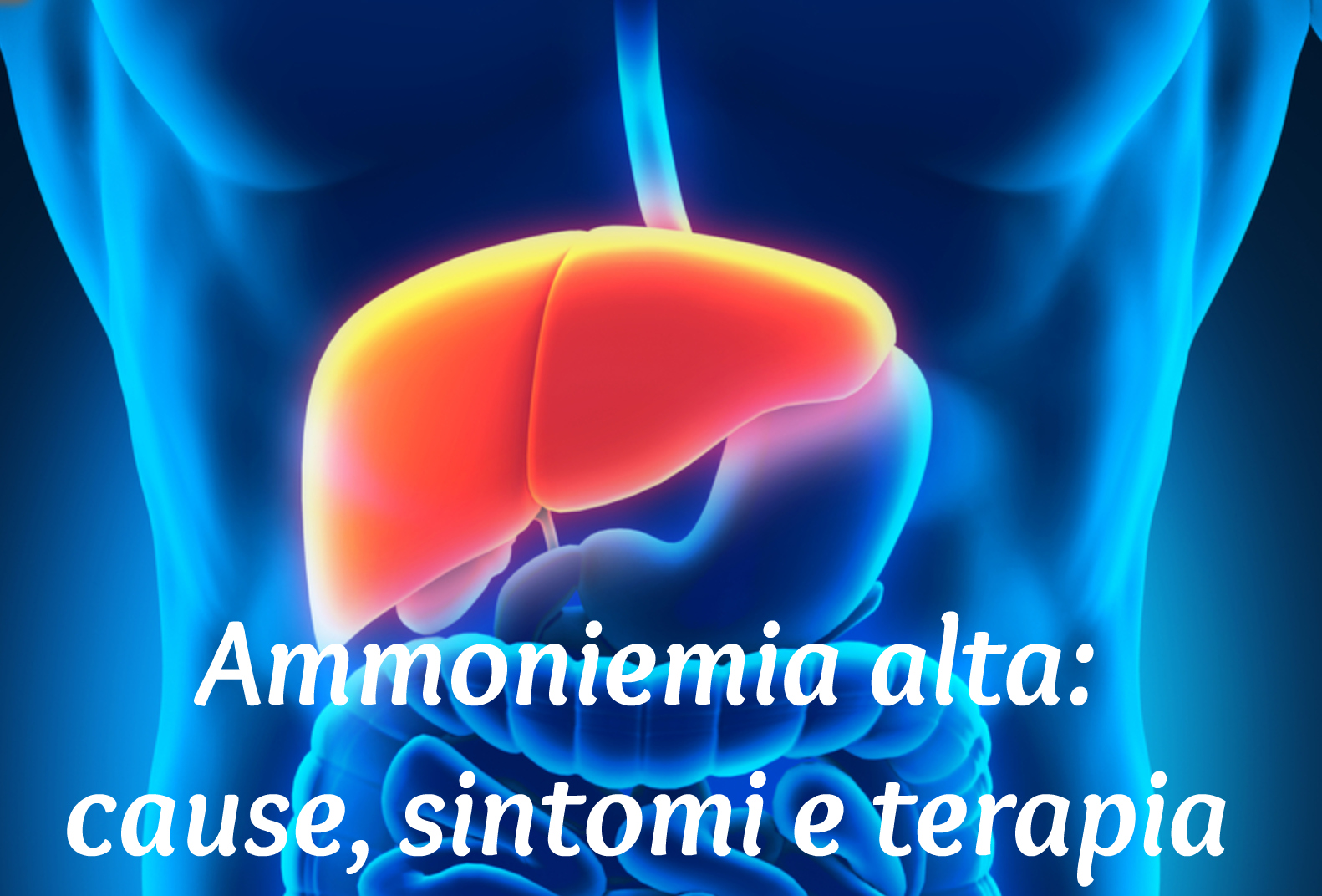 dieta baixar ad alto contenuto di acido urico