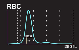 RDW-SD grafico